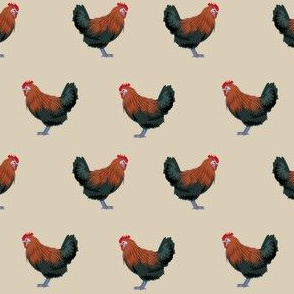 maran chicken fabric - chicken fabric, maran fabric, chicken fabric, chicken breed fabric, chickens fabric, - tan