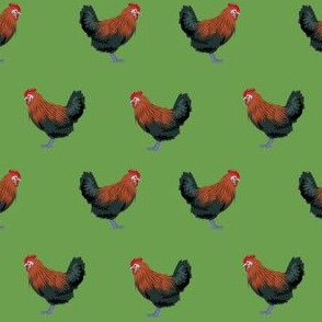 maran chicken fabric - chicken fabric, maran fabric, chicken fabric, chicken breed fabric, chickens fabric, -  green