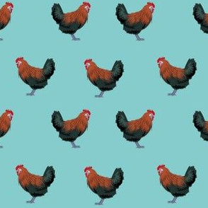 maran chicken fabric - chicken fabric, maran fabric, chicken fabric, chicken breed fabric, chickens fabric, - blue