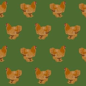 chochin chicken fabric - chicken breed fabric, chicken fabric, farm house fabric, farm friendly fabric, - green