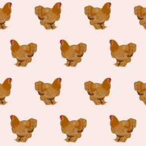 chochin chicken fabric - chicken breed fabric, chicken fabric, farm house fabric, farm friendly fabric, -  light pink