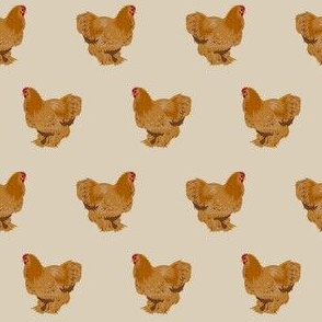chochin chicken fabric - chicken breed fabric, chicken fabric, farm house fabric, farm friendly fabric, - tan