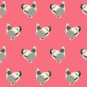 brahma chicken fabric - brahma chicken fabric, bird fabric, farm fabric, farmhouse fabric - pink