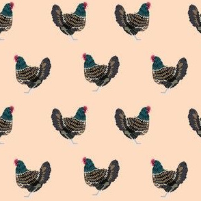 barnevelder chicken fabric - chickens fabric, chicken breed fabric, pet fabric, farm fabric, farm animals fabric, birds fabric, farmhouse - peach