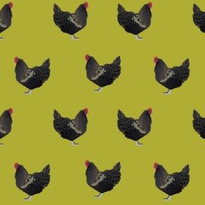 australorp chicken fabric - chicken fabric, chicken breed fabric, farmhouse fabric, bird fabric -  lime