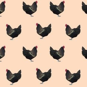 australorp chicken fabric - chicken fabric, chicken breed fabric, farmhouse fabric, bird fabric - peach