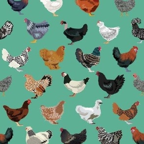 chicken breeds fabric - chicken fabric, farm fabric, farmhouse fabric, bird, birds fabric, - green