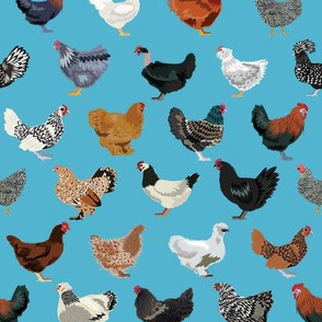 chicken breeds fabric - chicken fabric, farm fabric, farmhouse fabric, bird, birds fabric, - blue