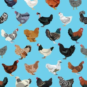 chicken breeds fabric - chicken fabric, farm fabric, farmhouse fabric, bird, birds fabric, - blue