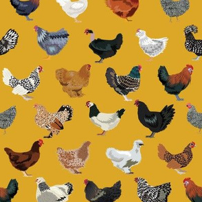 chicken breeds fabric - chicken fabric, farm fabric, farmhouse fabric, bird, birds fabric, - yellow