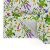 Colorful Herbs Flowers Pattern