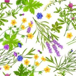 Colorful Herbs Flowers Pattern
