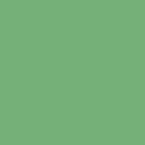 Meadow green solid colour plain green block colour
