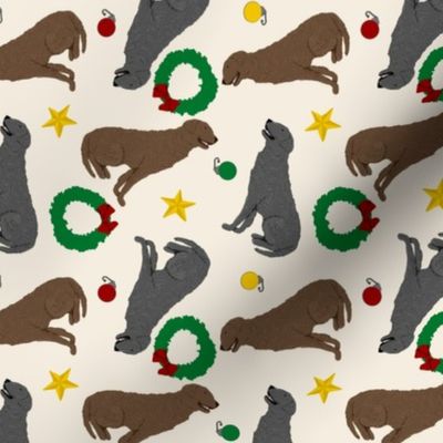 Tiny Curly Coated Retrievers - Christmas