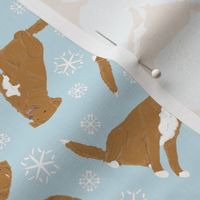 Tiny Nova Scotia Duck Tolling Retrievers - winter snowflakes