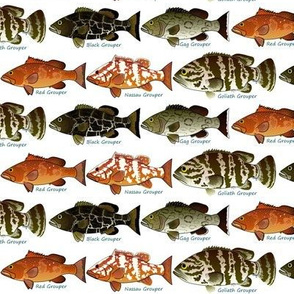 5 Groupers