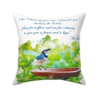 Affirmation, Blue Jay, scripture, wall hanging, pillow