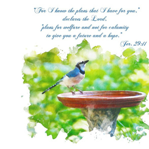 Affirmation, Blue Jay, scripture, wall hanging, pillow