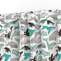 Whales Doodle Nautical Ocean Sea Green