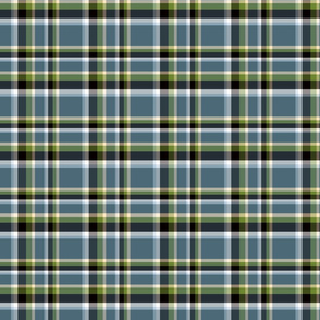 my help plaid