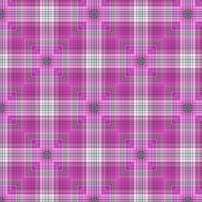 Plaid Reconstruct 02-23-19-4