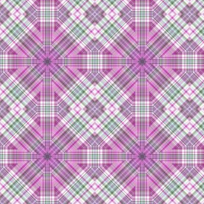 Plaid Reconstruct 02-23-19-5