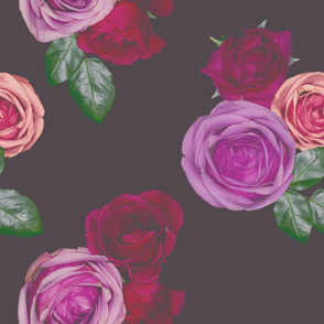 Roses Roses Roses