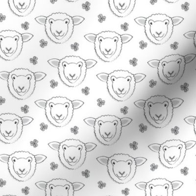 small sheep faces with clover on white