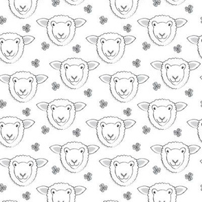small sheep faces with clover on white
