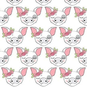 spotted pig faces with roses on white