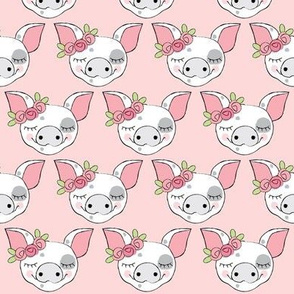 spotted pig faces with roses on pink