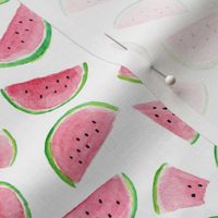 Watermelon Slices - smaller scale