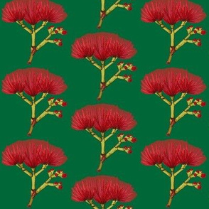 Pohutukawa Christmas