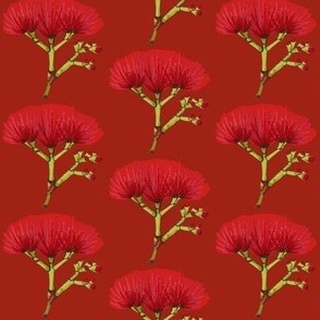 Pohutukawa Crimson