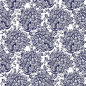 Peacock Illustration in Navy on White