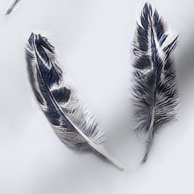 Feathers