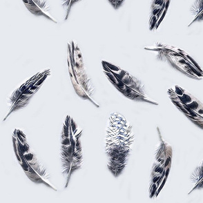 Feathers