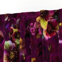 Moody florals by Odette Lager