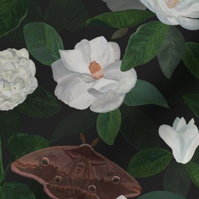 Magnolias and Moths