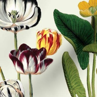 Botanical Vintage Moody Tulip Beige