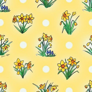 Little sunny yellow daffodils