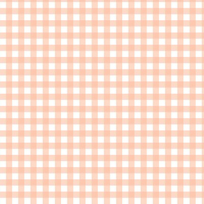 Angora-Apricot-coordinategingham