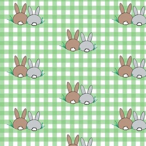 Green Grass Gingham