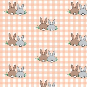 Angora Apricot Gingham