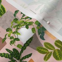  Tropical House Plants - Light Pink Med