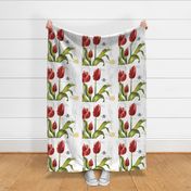 red tulip pillow