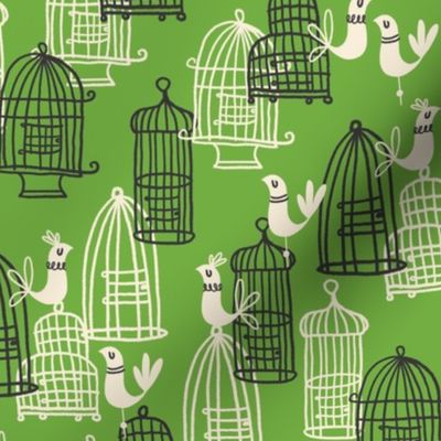 Cagey Birds ~ AppleGreen