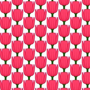 Pink Tulips 4