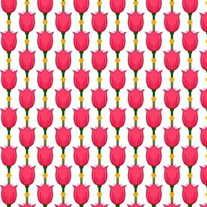 Pink Tulips 5