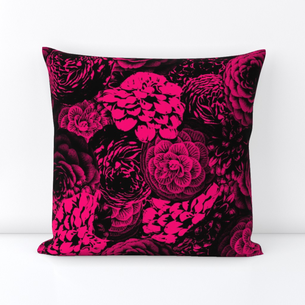 Moody Florals in Magenta